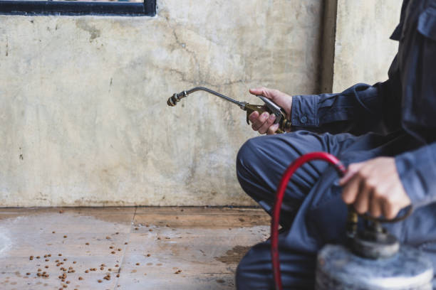 Best Residential Pest Control  in Paradise Valley, AZ